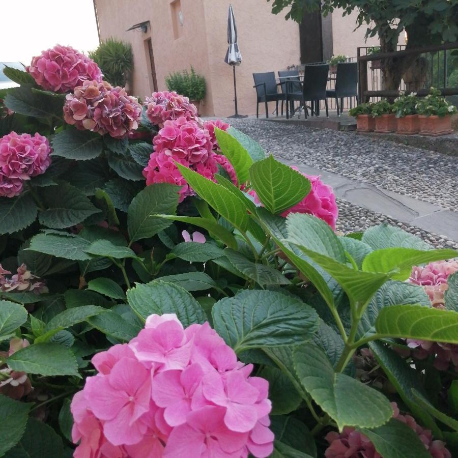 B&B Ronco Degli Ulivi Iseo Eksteriør billede