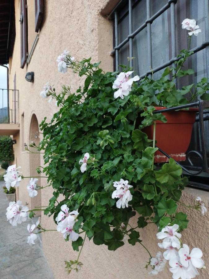 B&B Ronco Degli Ulivi Iseo Eksteriør billede