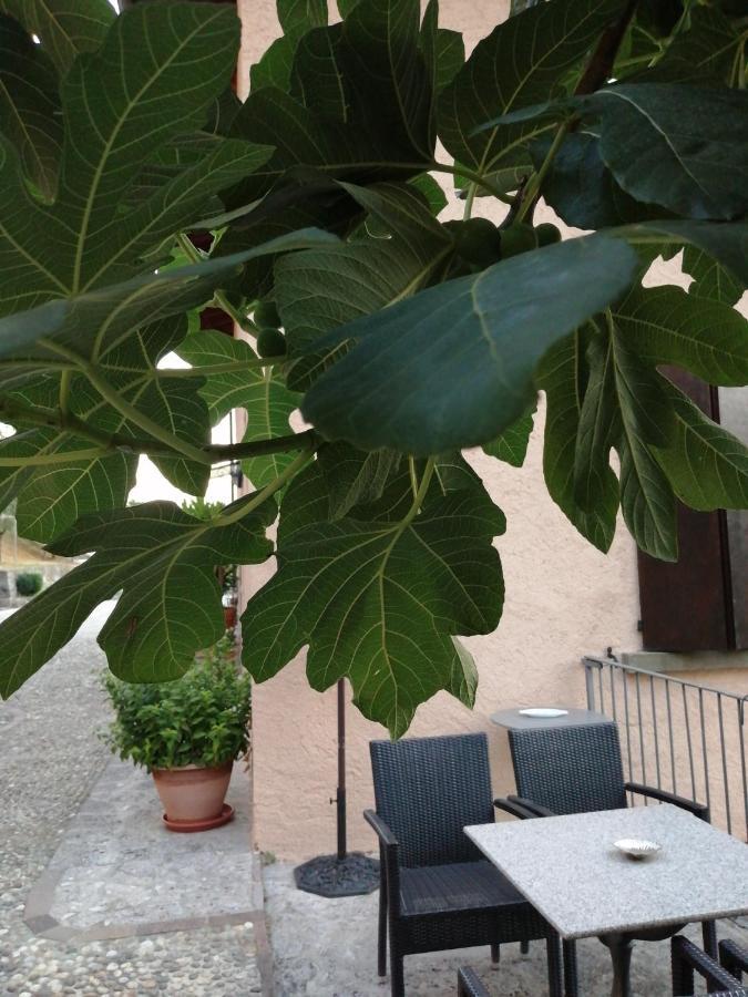 B&B Ronco Degli Ulivi Iseo Eksteriør billede